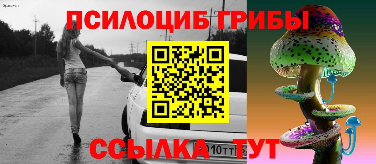 Мурманск  Псилоцибиновые грибы Psilocybe  Вход с VPN 
